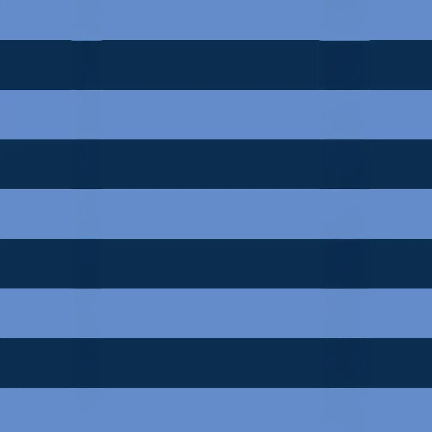 PROJECT TEN - "Blue Stripe" Packing Cube Set