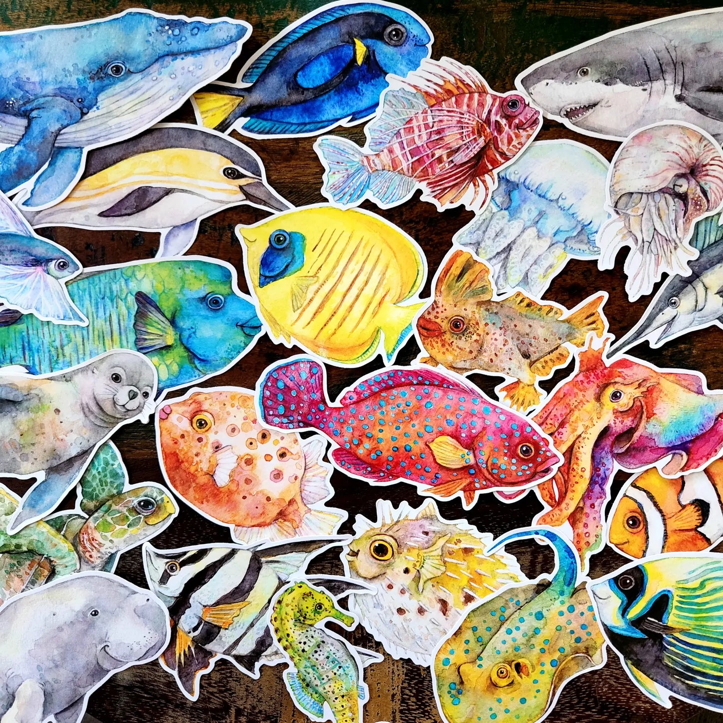 WATERCOLOURS BY CAT- Cuttlefish - Large Australian Marine Life Vinyl Stickers