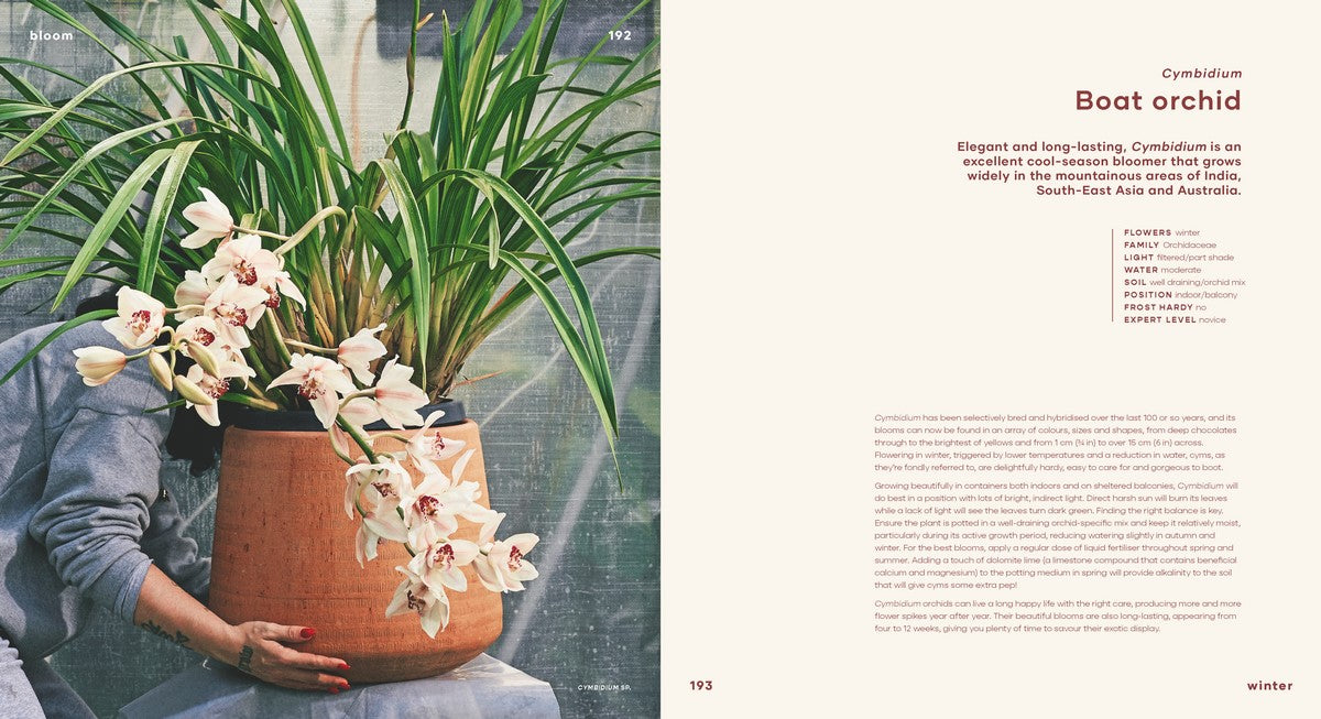 BOOKS & CO - Bloom Flowering Plants for Indoors and Balconies- From Leaf Supply