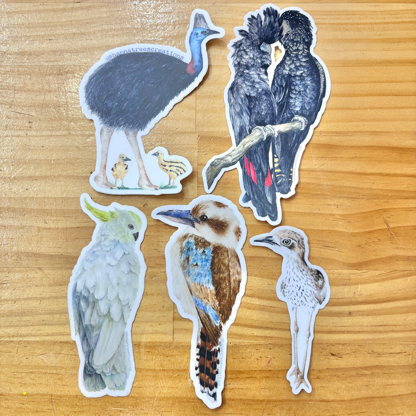 Shanna Trees Creations- Cassowary with Chicks - Large Sticker
