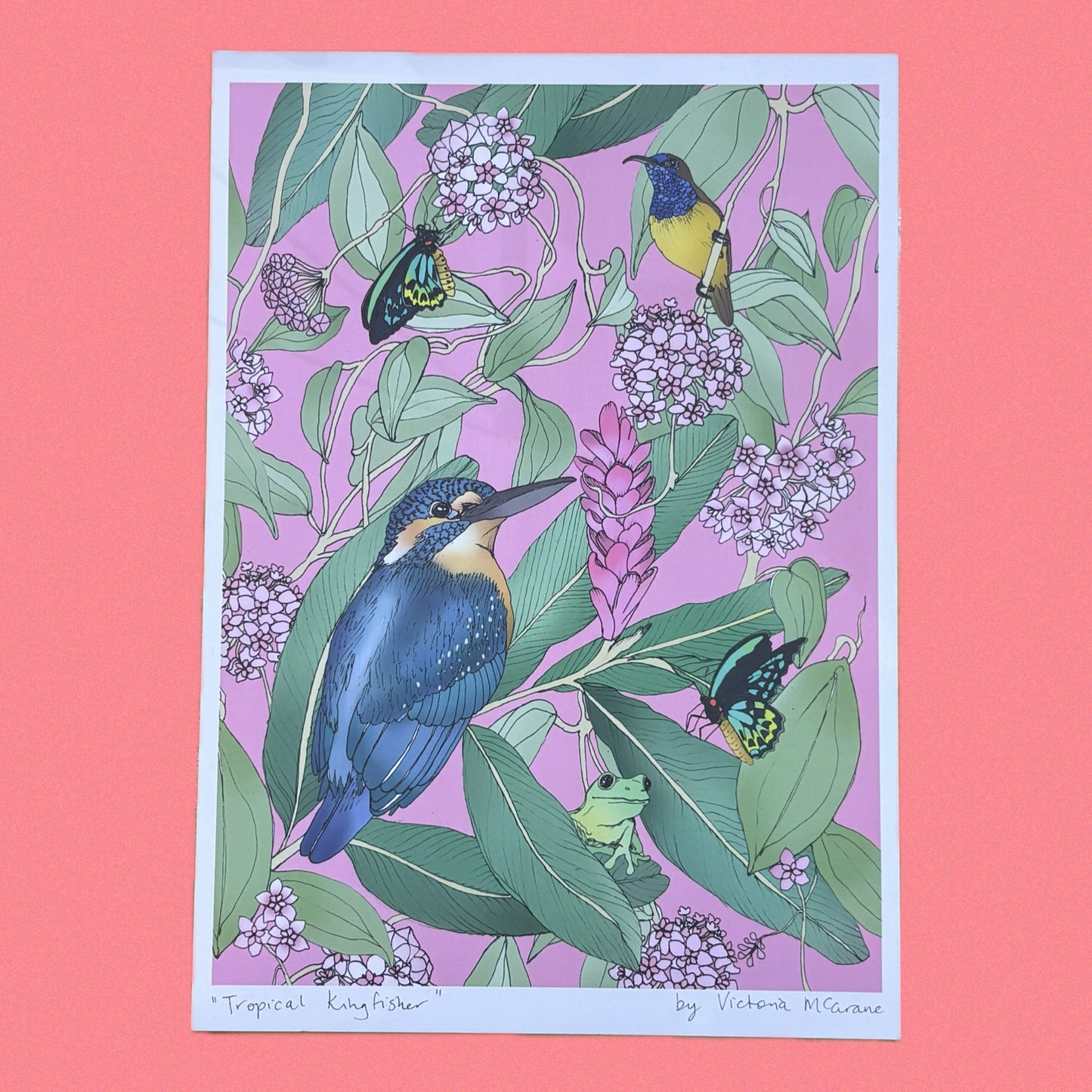 THE SCENIC ROUTE - "TROPICAL KINGFISHER"- A4 ART PRINT