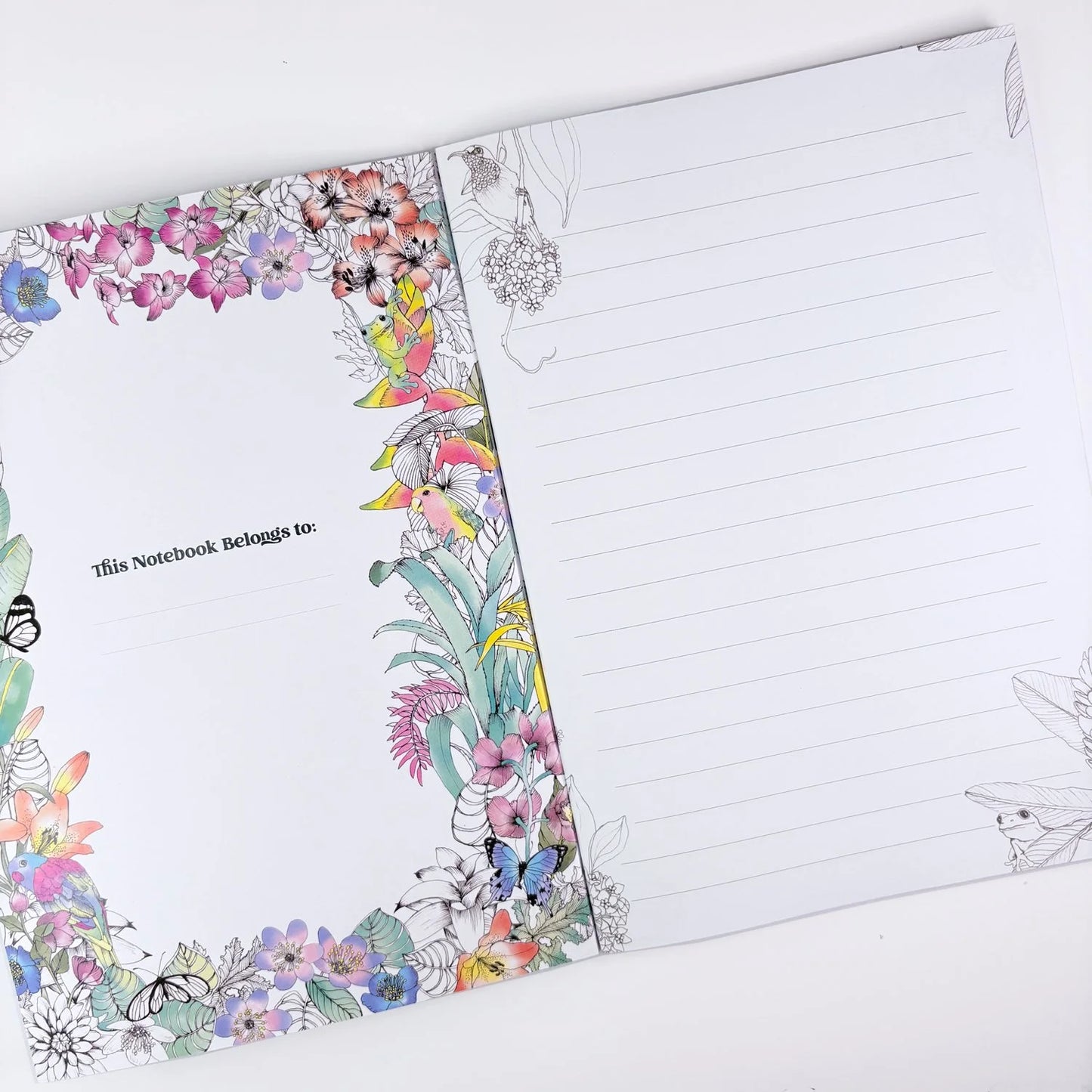 The Scenic Route - "Cassowary Creek"- Lined Notebook