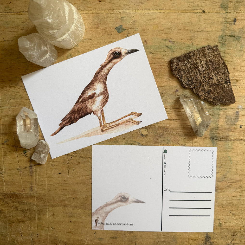 Shanna Trees Creations- Curlew Sitting Postcard