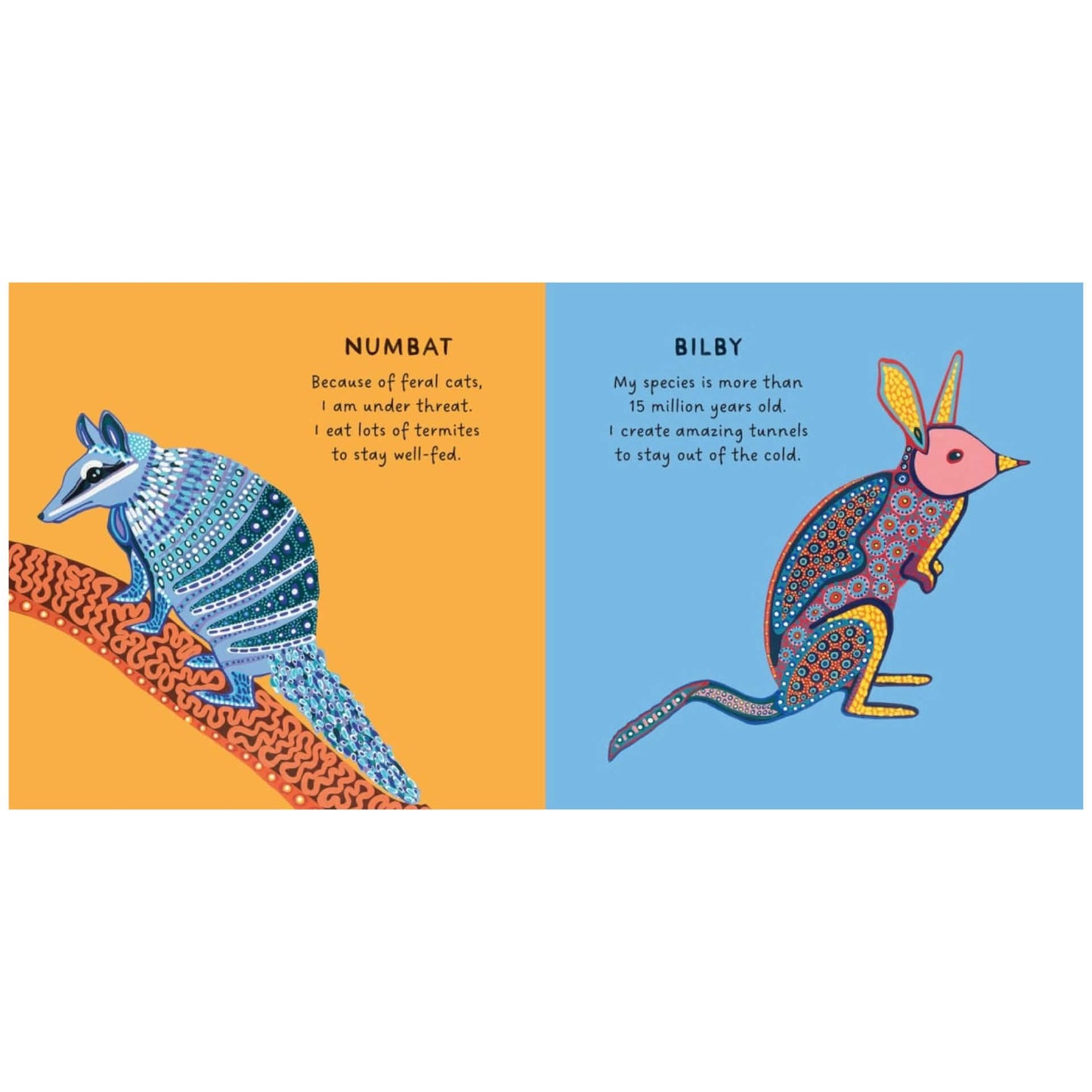 BOOKS & CO - OUR MARSUPIALS by Bronwyn Bancroft Board Book