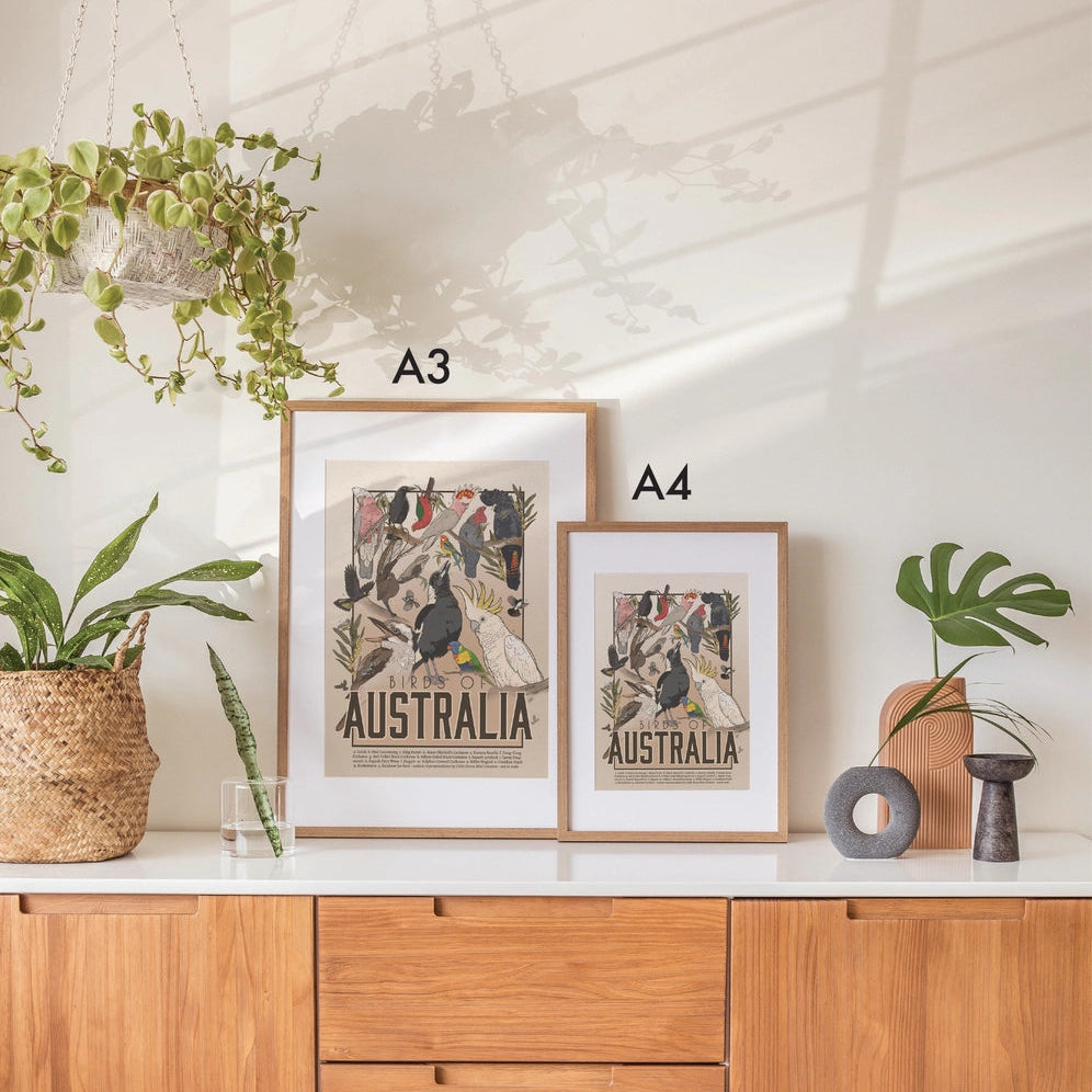 Green Mini Creative - A4 Poster/Print - "Birds of Australia"