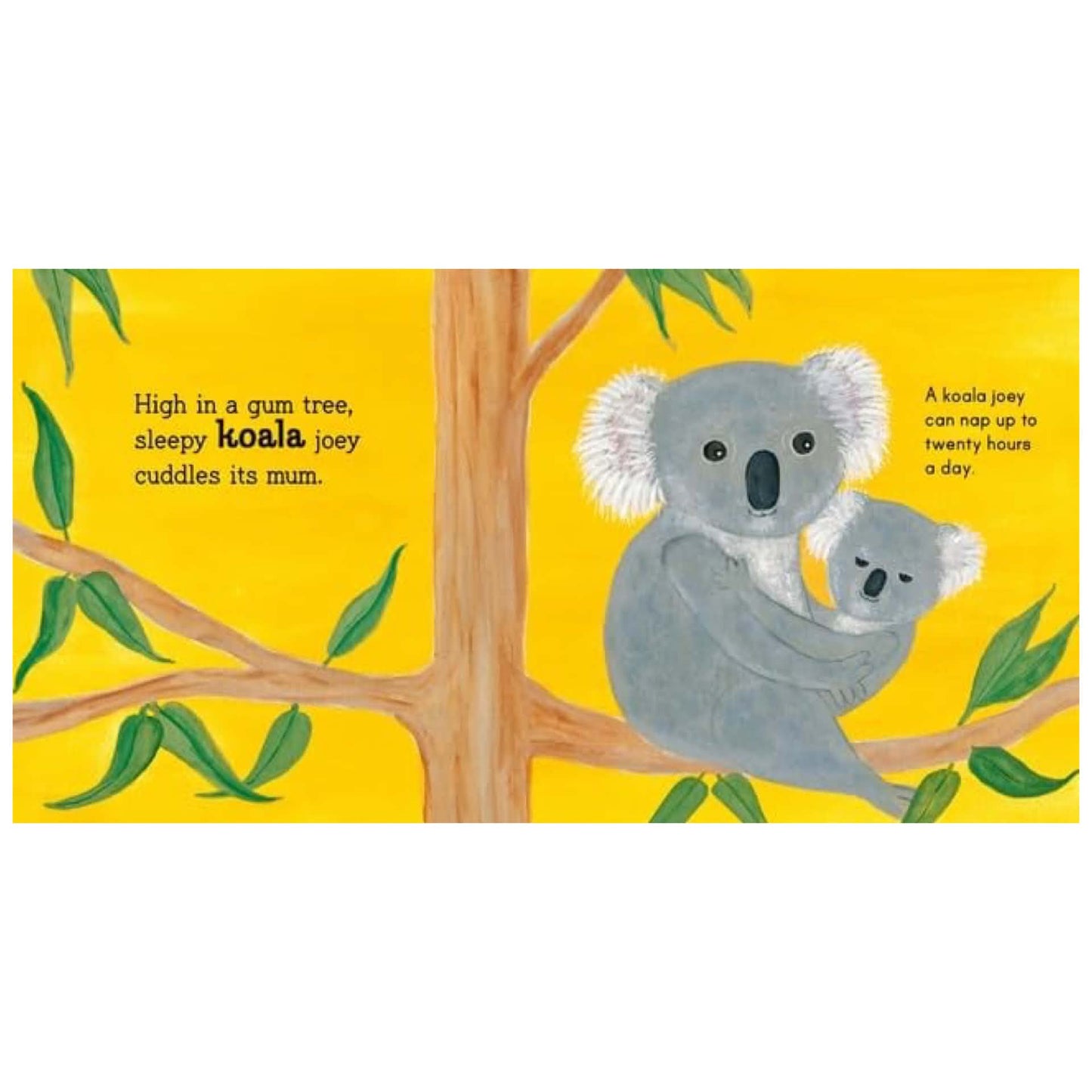 BOOKS & CO - AUSTRALIAN BABY ANIMALS By Frané Lessac - Board Book