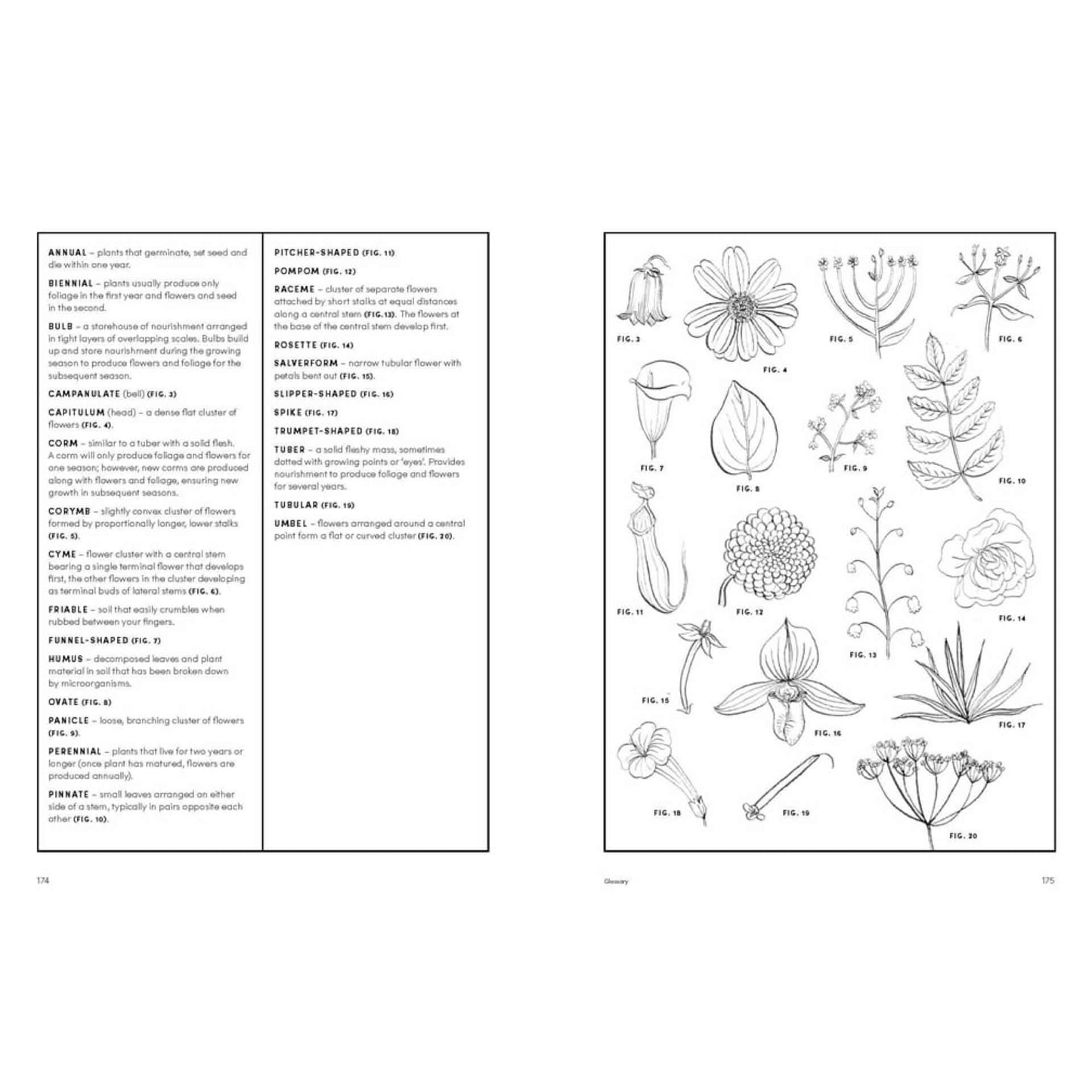 BOOKS & CO - THE PICKING GARDEN - Jo Turner