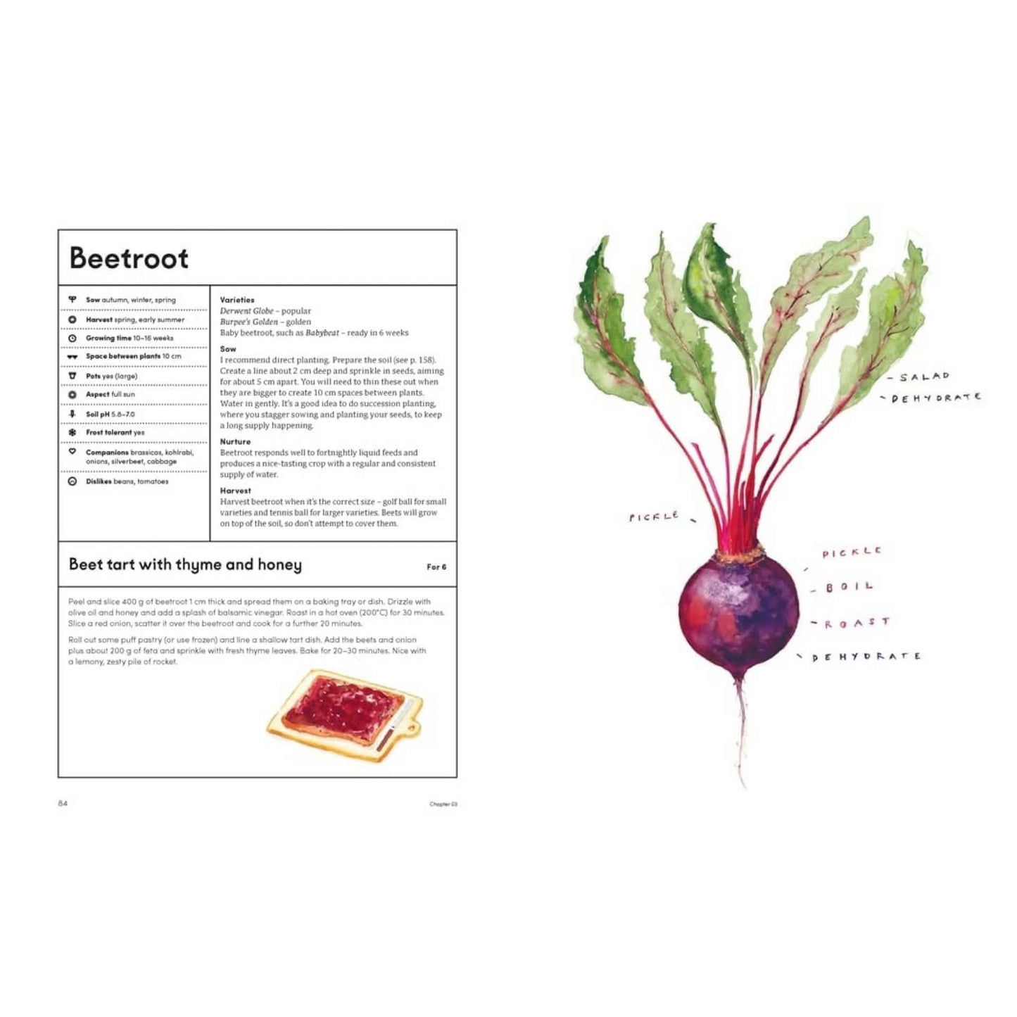 BOOKS & CO - THE KITCHEN GARDEN - Lucy Mora
