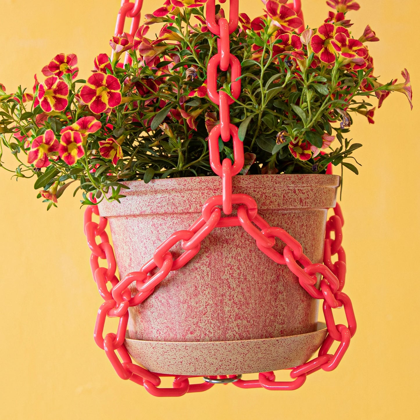 WOLJAM - Cherry - Sunday Series Plant Pot