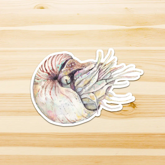 WATERCOLOURS BY CAT- Nautilus - Large Australian Marine Life Vinyl Stickers