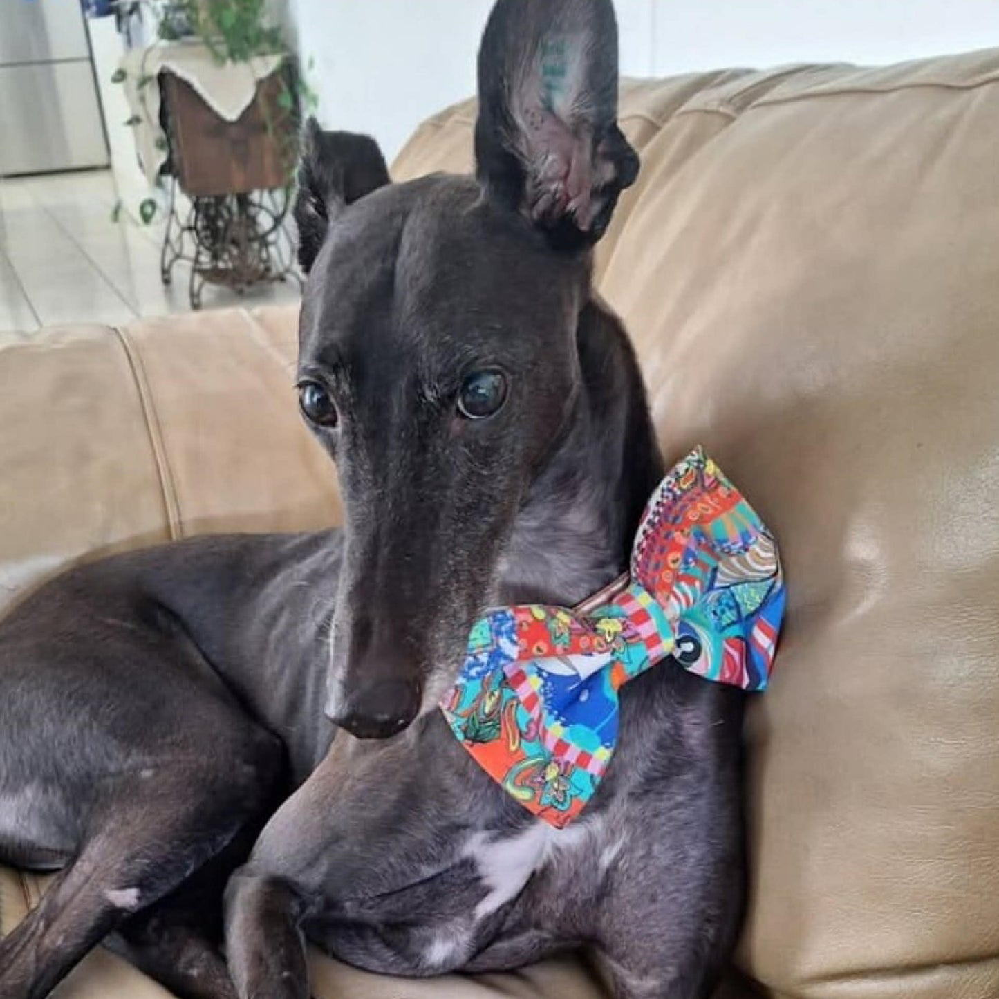 BEAUS AND BANDITS - DOGGY BOW TIE -FLOWERS - X-LARGE