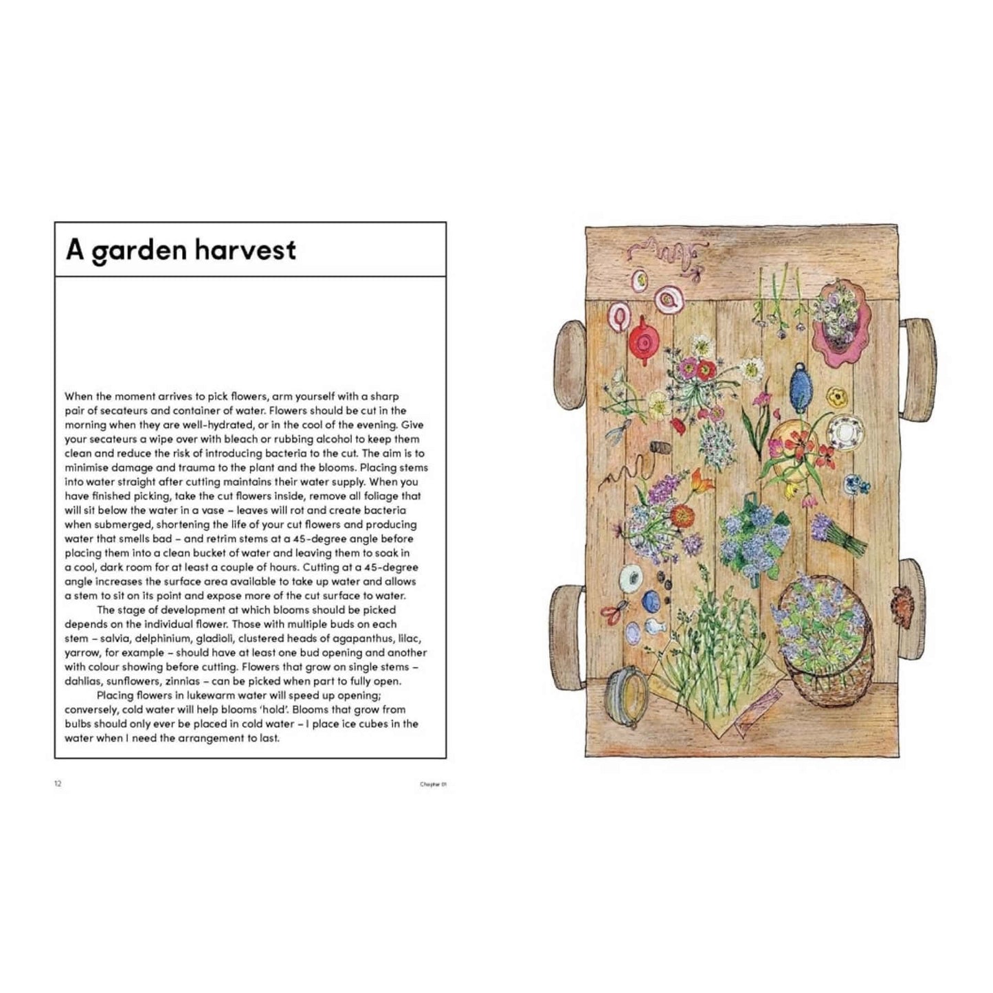 BOOKS & CO - THE PICKING GARDEN - Jo Turner