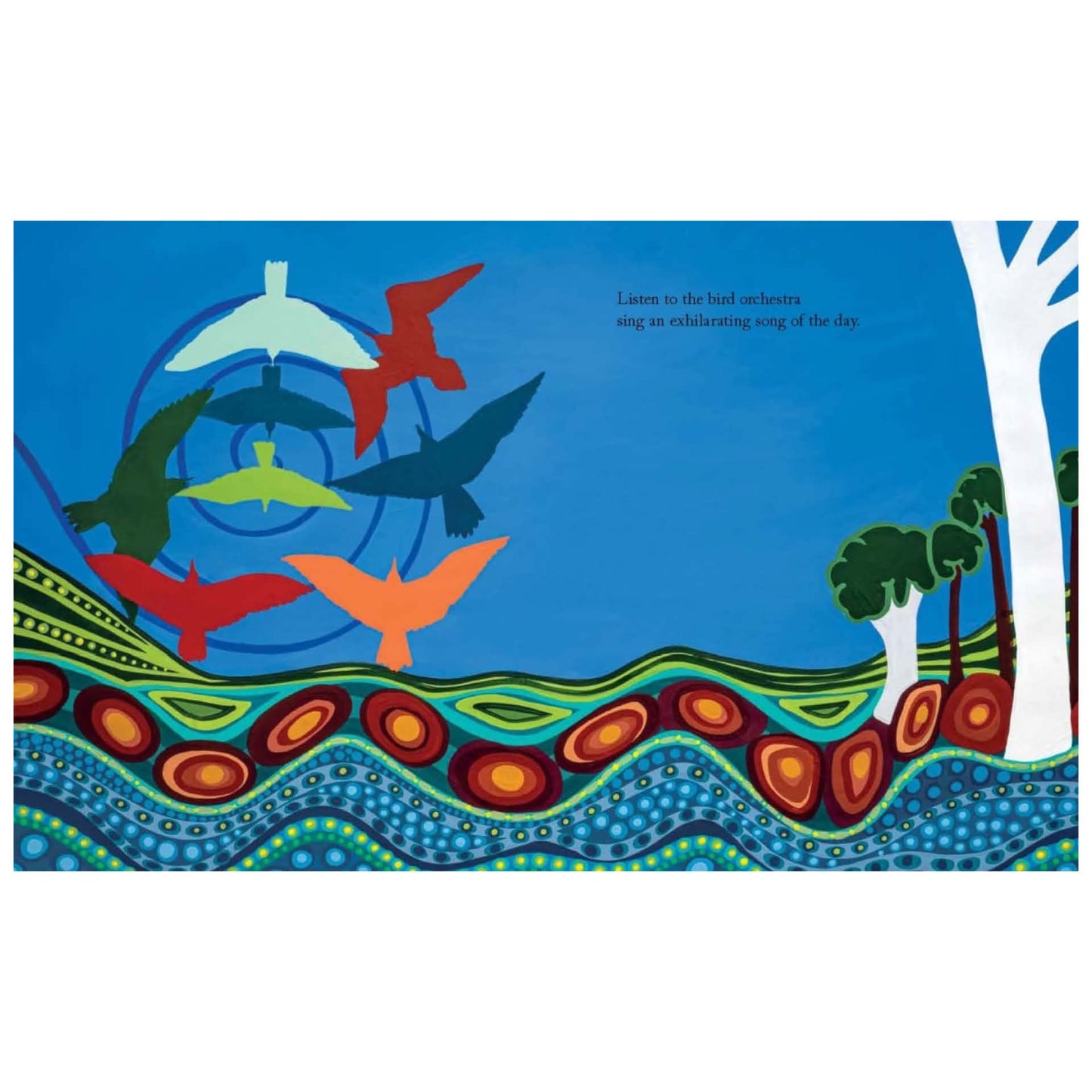 BOOKS & CO - COMING HME TO COUNTRY - Bronwyn Bancroft