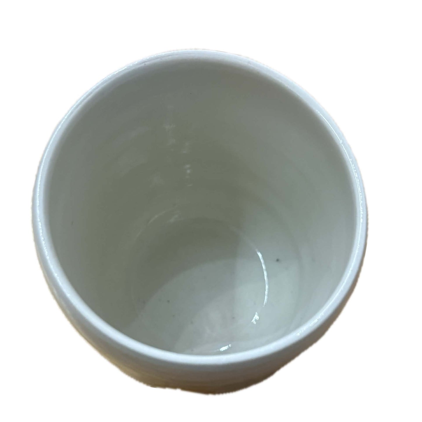EARTH BY HAND- Wattle Hand Painted Tumblers