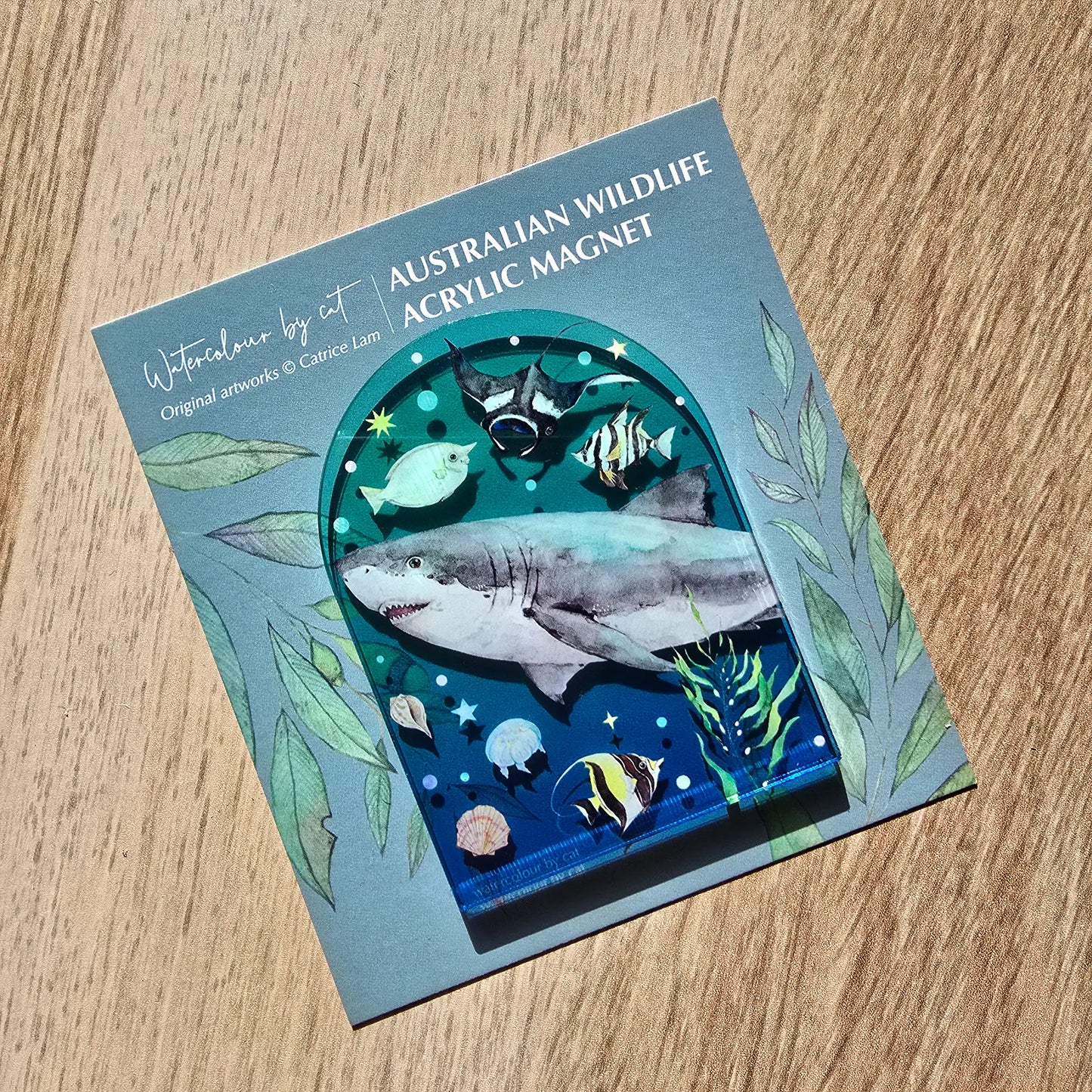 WATERCOLOURS BY CAT- Great White Shark- Australian Marine Animal Art Magnet