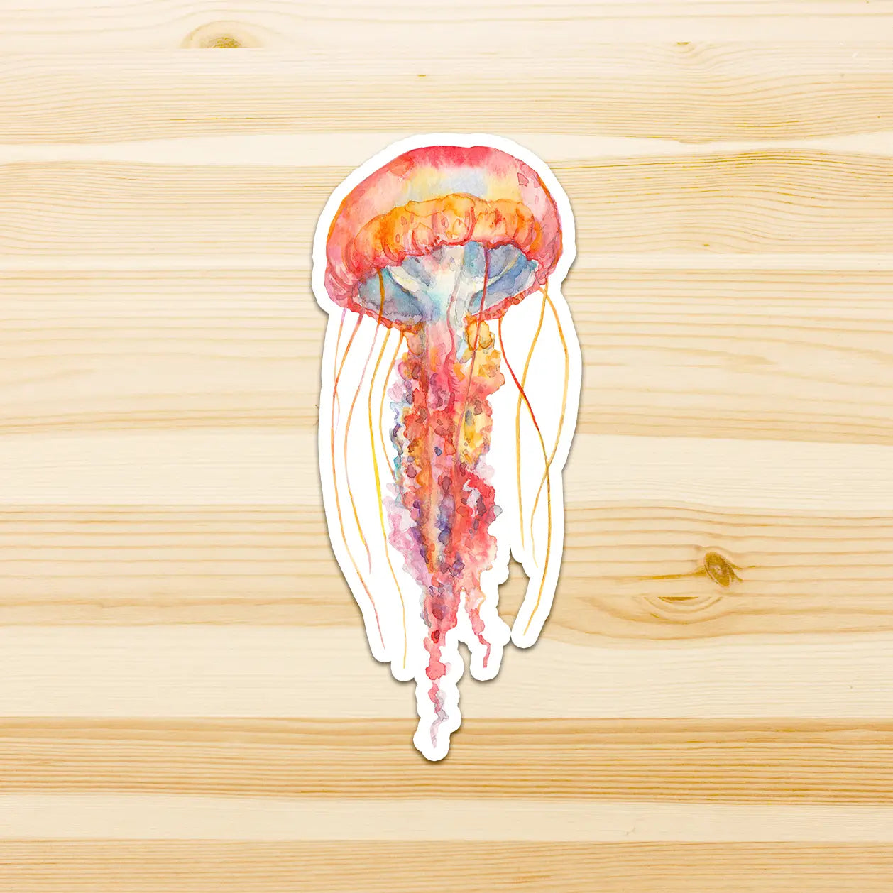 WATERCOLOURS BY CAT- Pink Jellyfish - Large Australian Marine Life Vinyl Stickers