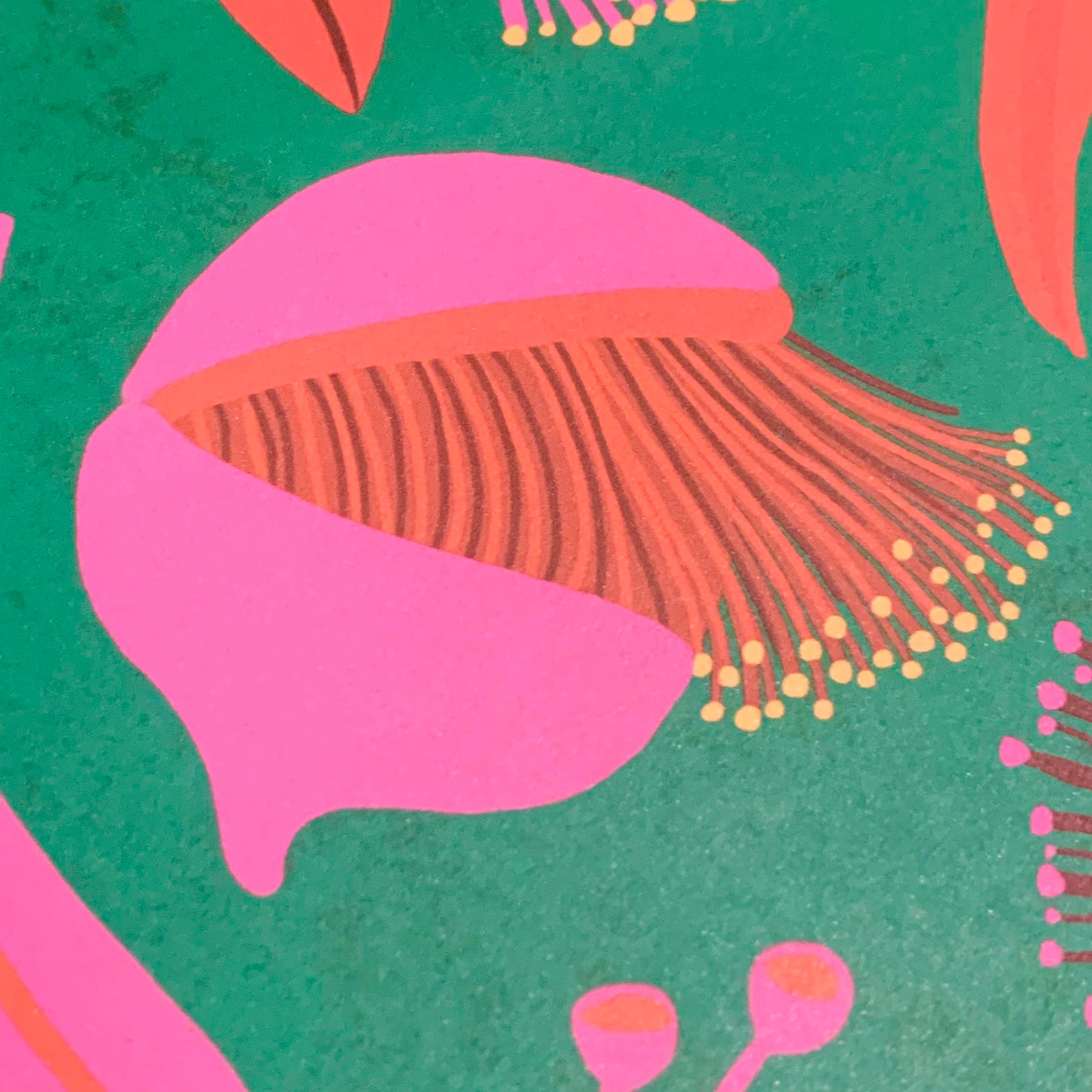 NUOVO - Gift Wrap- Pink & Green Eucalyptus