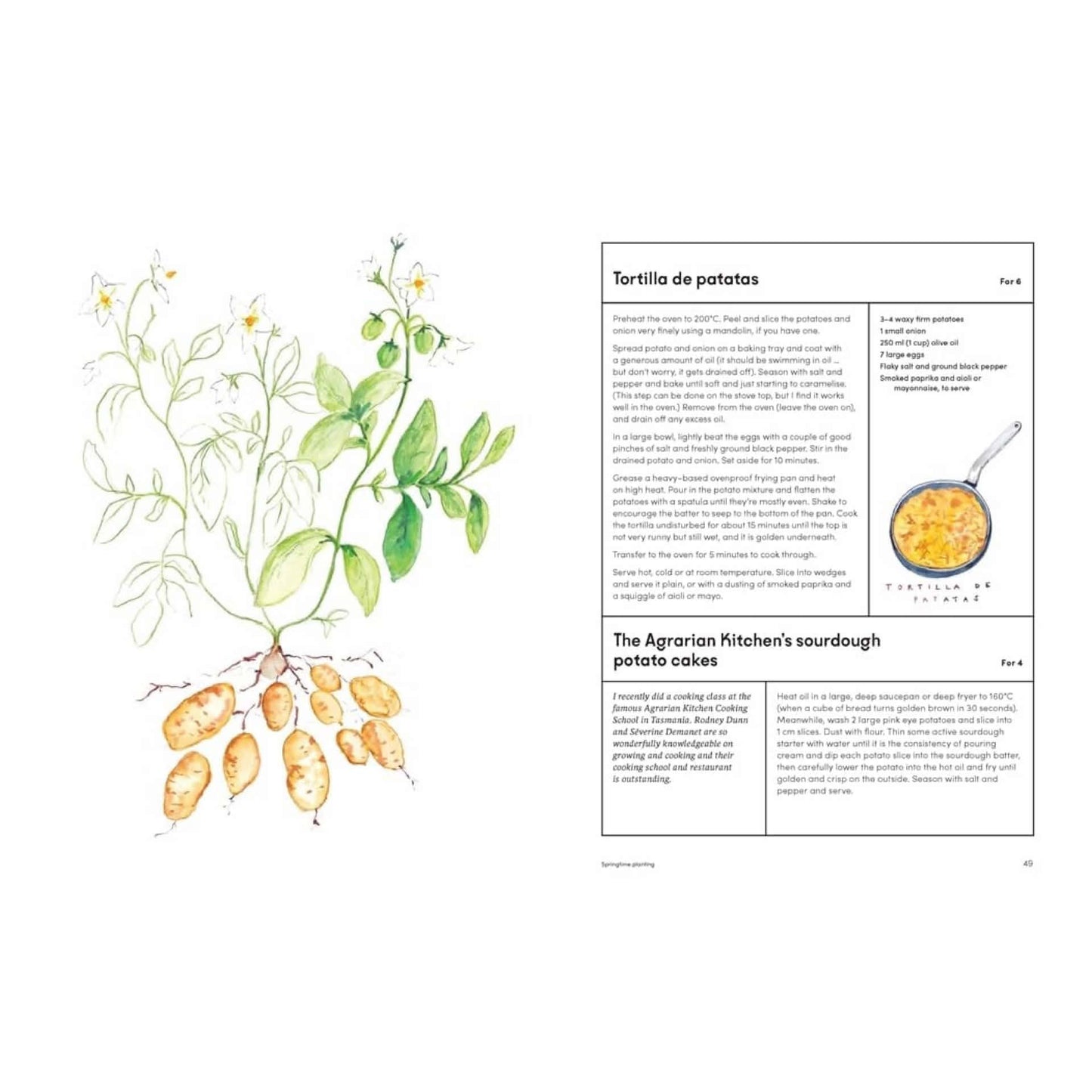 BOOKS & CO - THE KITCHEN GARDEN - Lucy Mora