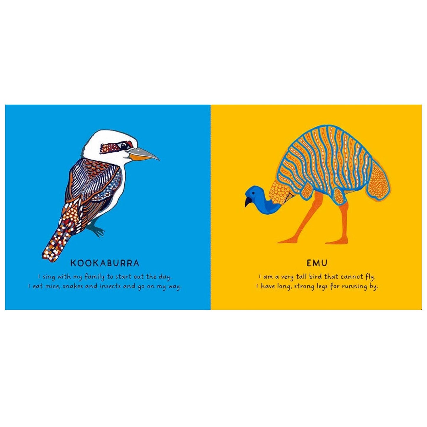 BOOKS & CO - Our Birds by Bronwyn Bancroft