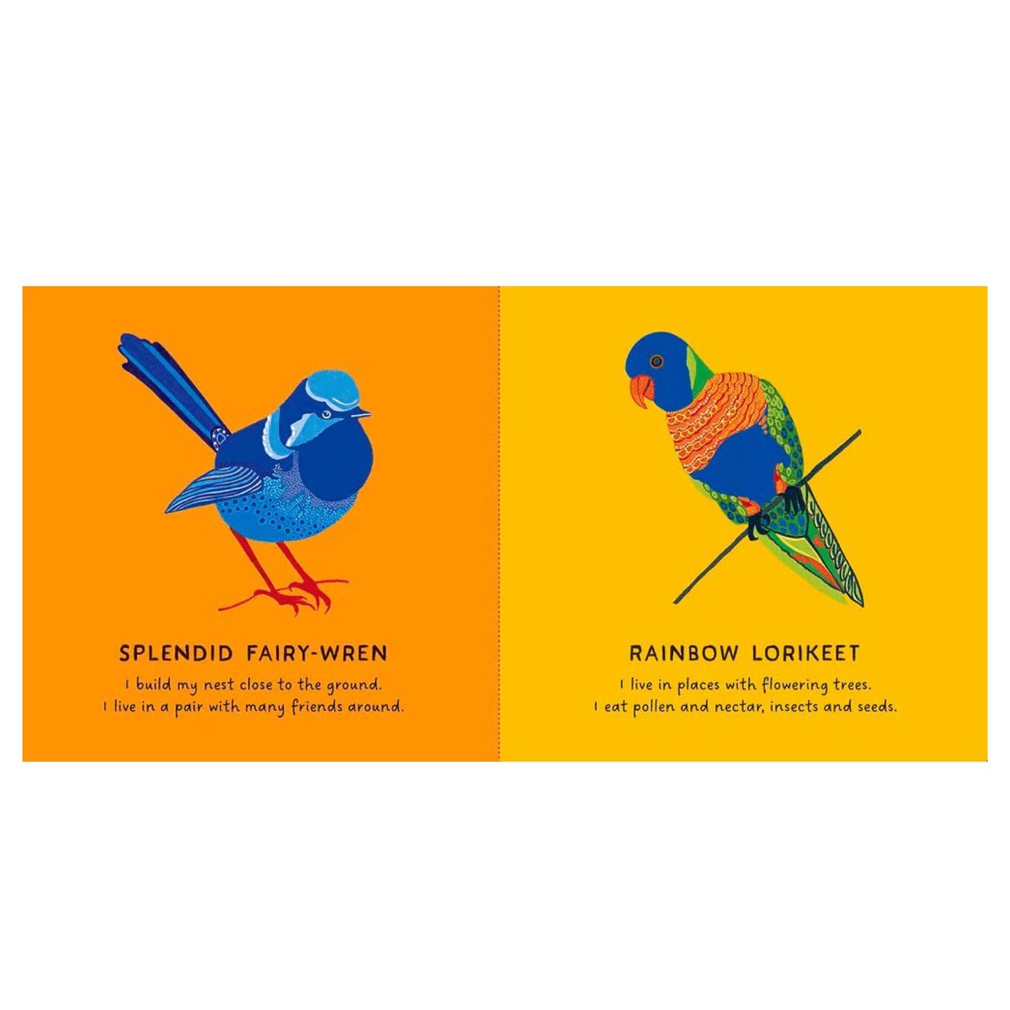 BOOKS & CO - Our Birds by Bronwyn Bancroft