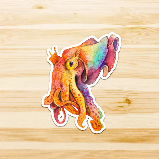 WATERCOLOURS BY CAT- Cuttlefish - Large Australian Marine Life Vinyl Stickers