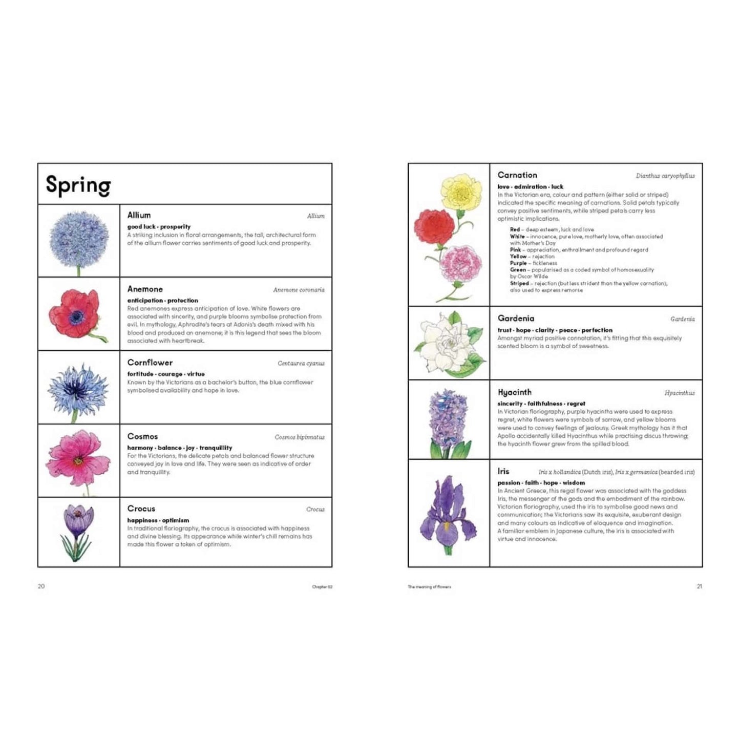 BOOKS & CO - THE PICKING GARDEN - Jo Turner