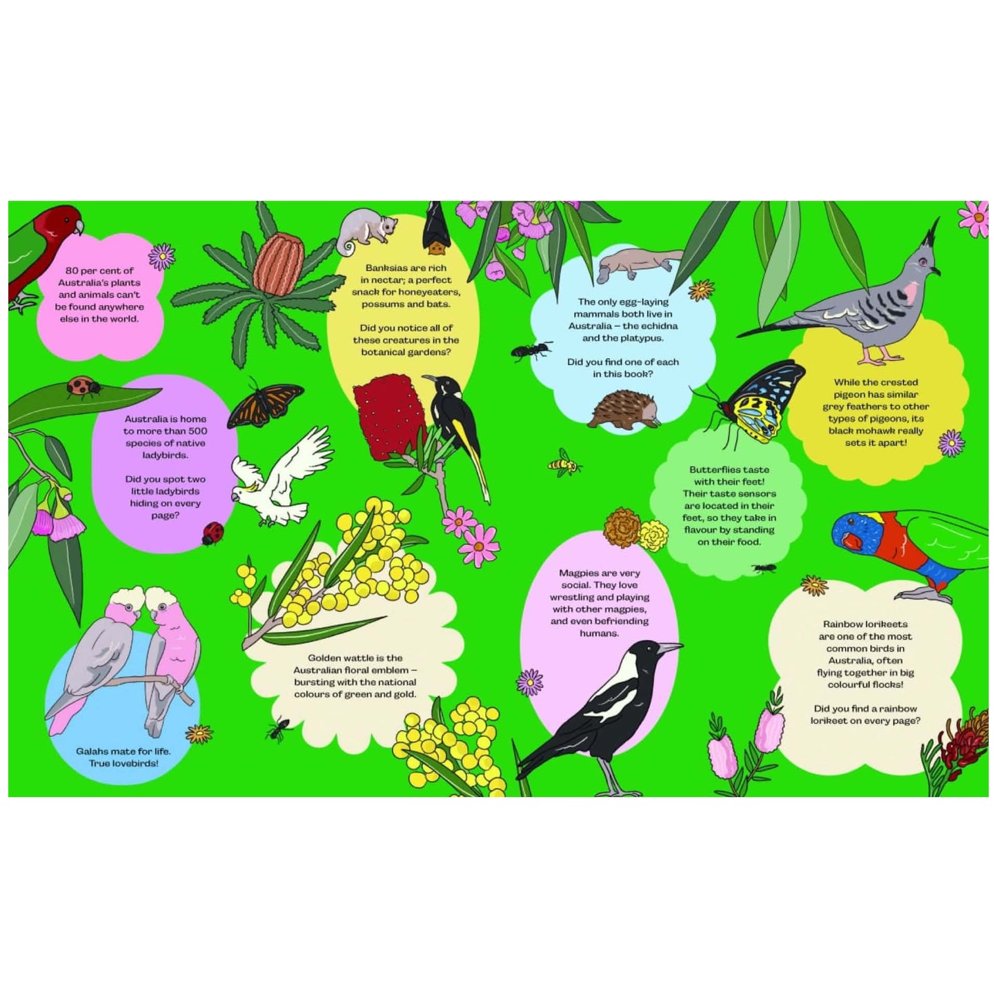 BOOKS & CO- BIRDS, BLOOMS & BUGS - By Megan McKean