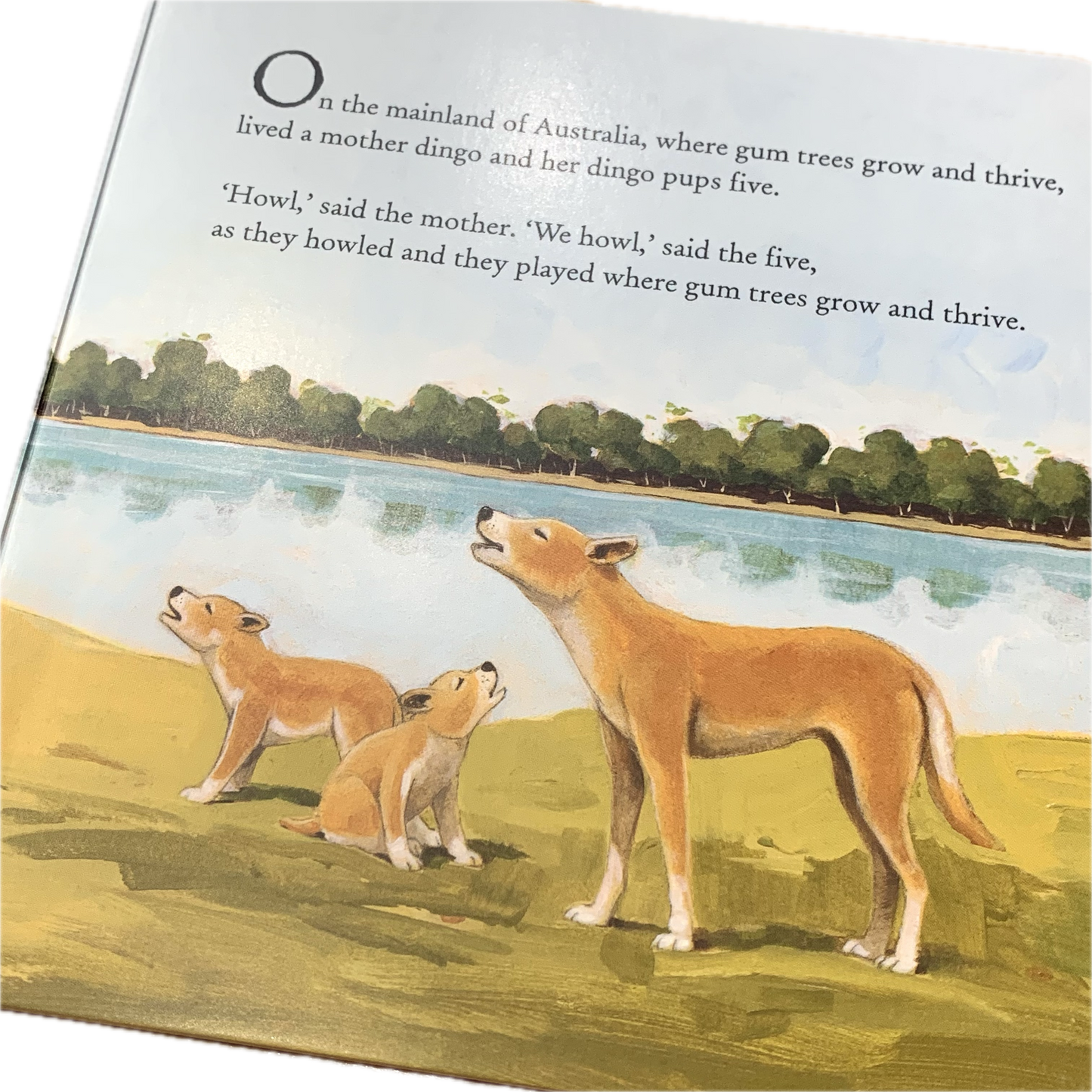BOOKS & CO - SOMEWHERE IN AUSTRALIA - Marcello Pennachio- Hardcover