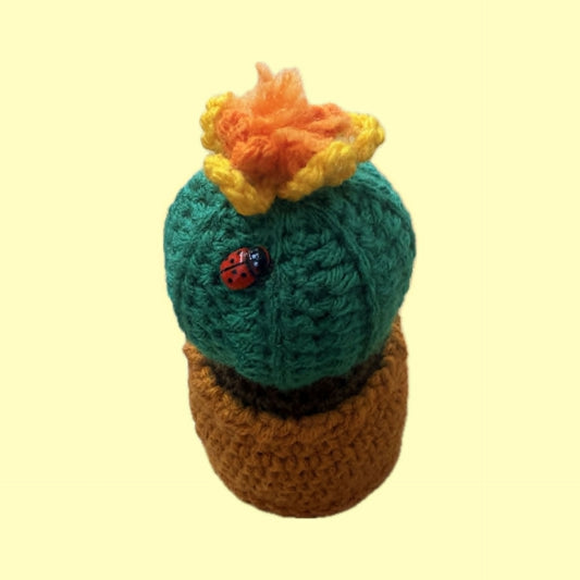 BEAKNITS- CROCHETED CACTUS #1