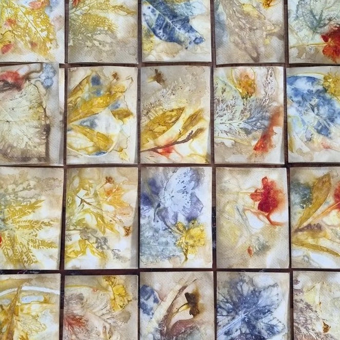 WILD BRASS- "Blue Fruit"- BOTANICAL ECO DYED PAPER FRAMED ARTWORK