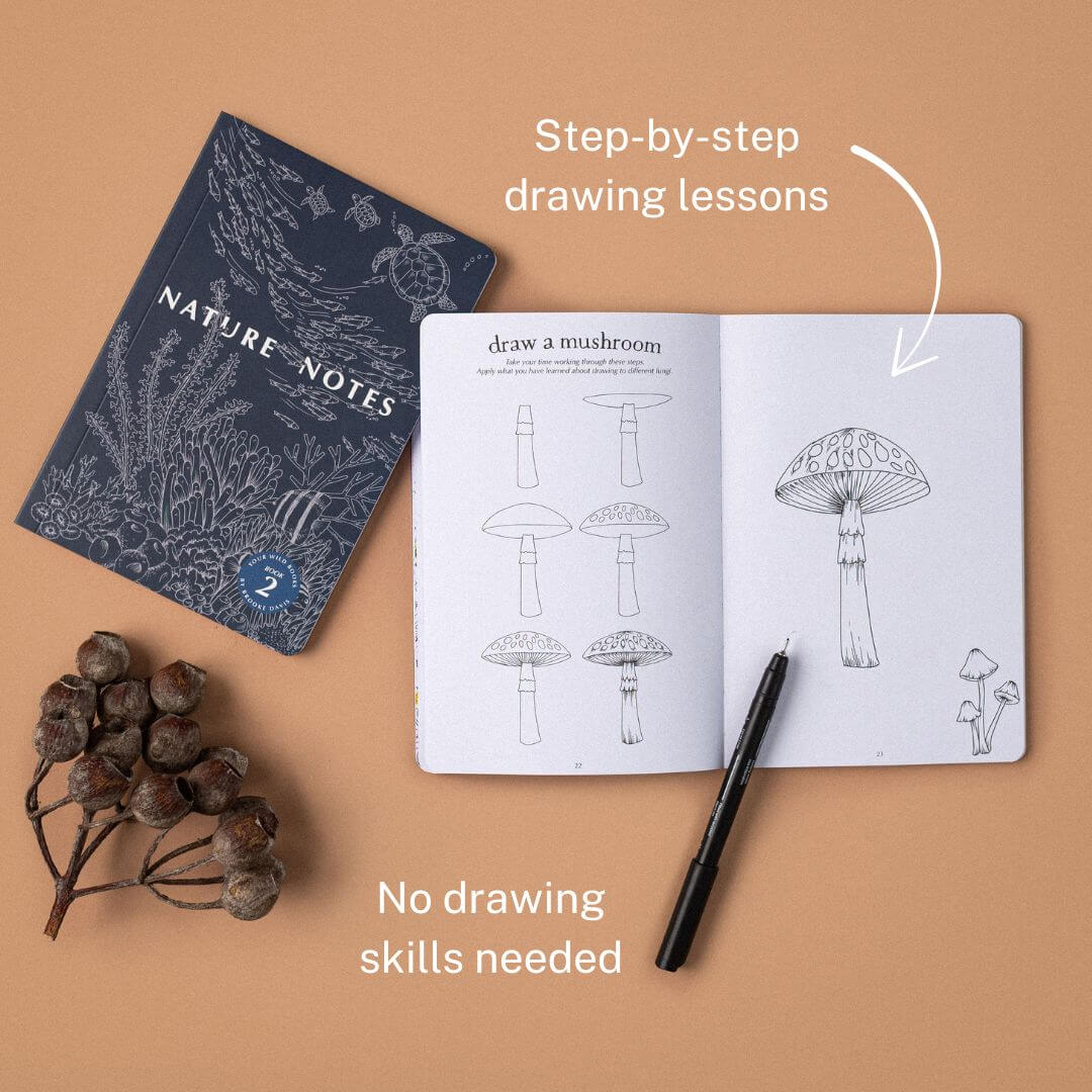 YOUR WILD BOOKS- Nature Notes 2- Journal