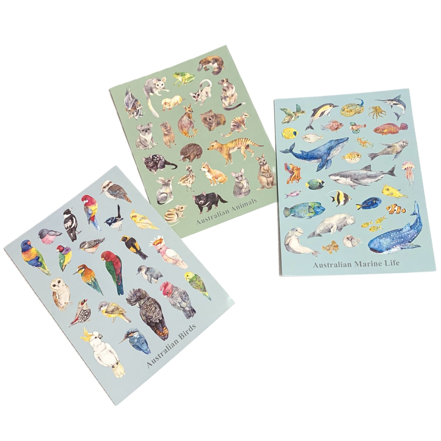 WATERCOLOURS BY CAT- Australian Animals - Recycled Postcard