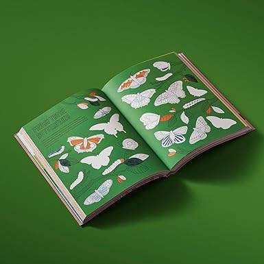 BOOKS & CO - DRAW HAPPY - Tilly