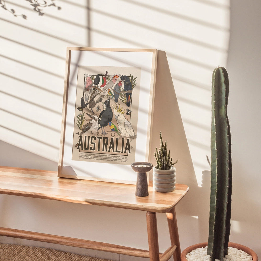 Green Mini Creative - A4 Poster/Print - "Birds of Australia"