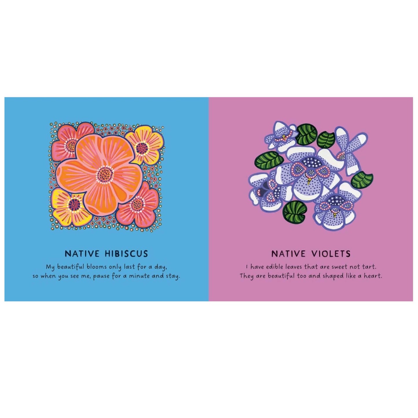 BOOKS & CO - OUR FLOWERS by Bronwyn Bancroft Board Book