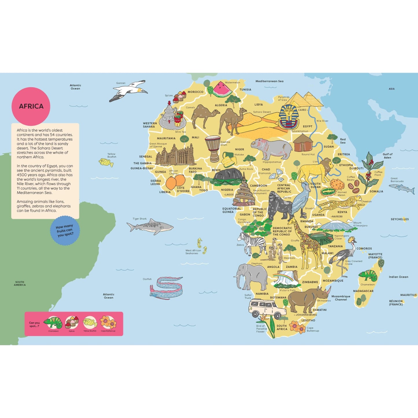 BOOKS & CO- Spot It: Around the World Atlas- By Megan McKean