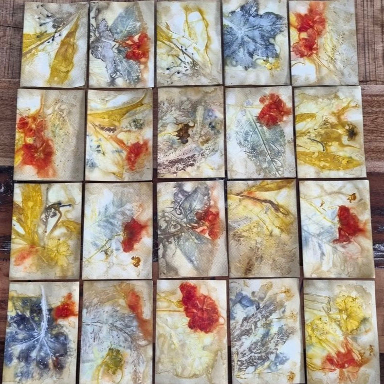 WILD BRASS- "Blue Fruit"- BOTANICAL ECO DYED PAPER FRAMED ARTWORK