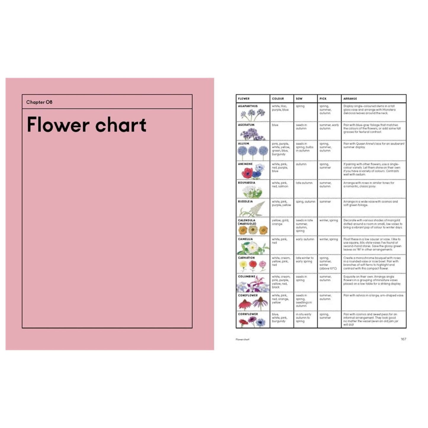 BOOKS & CO - THE PICKING GARDEN - Jo Turner