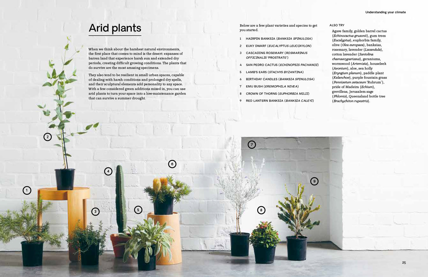 BOOKS & CO - Green by Jason Chongue