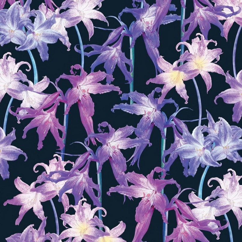 BOOKS & CO - ALL WRAPPED UP : POSY by Adriana Picker
