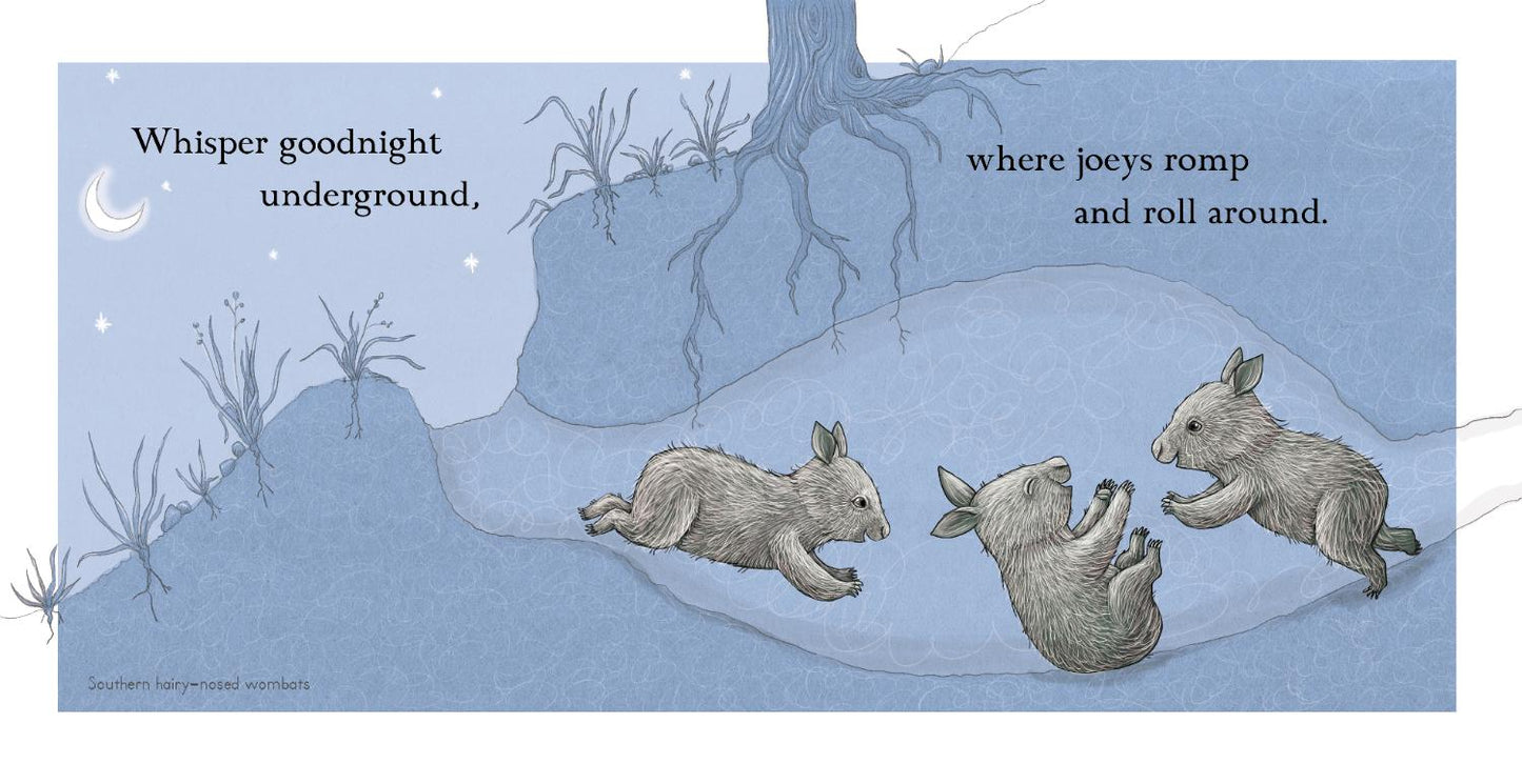 BOOKS & CO - RENEE TREML - Goodnight Joeys - Small Board Book