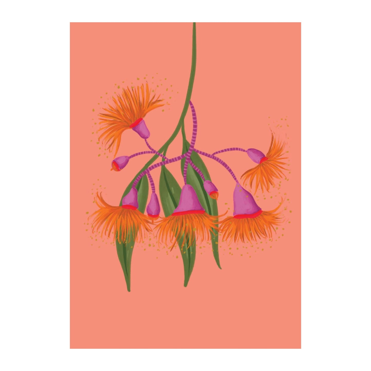 NUOVO - "Peach Gum Flowers" Greeting Card- by Emma Whitelaw