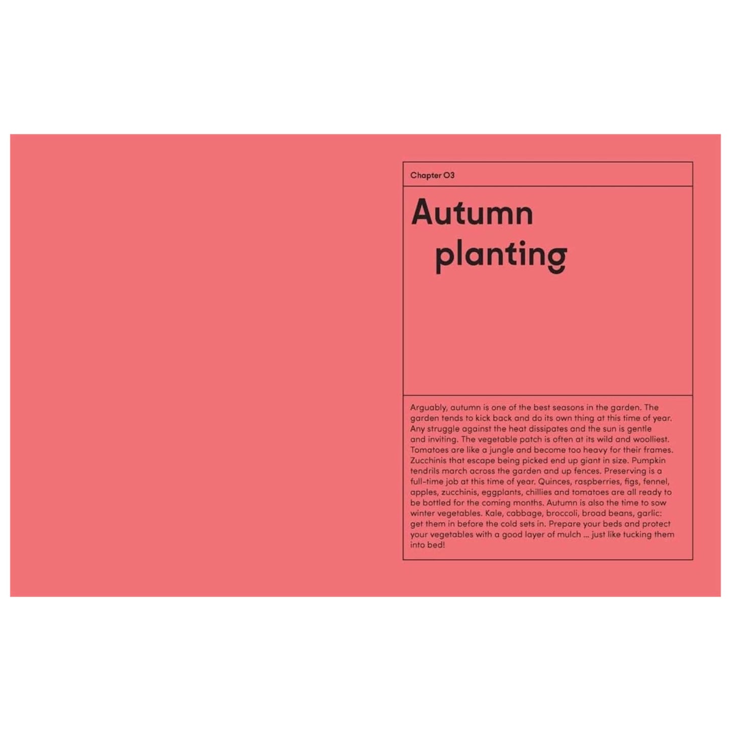 BOOKS & CO - THE KITCHEN GARDEN - Lucy Mora