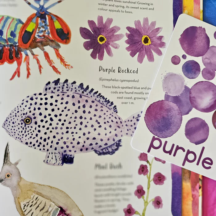 BOOKS & CO - Australia’s Baby Animals By Jess Racklyeft