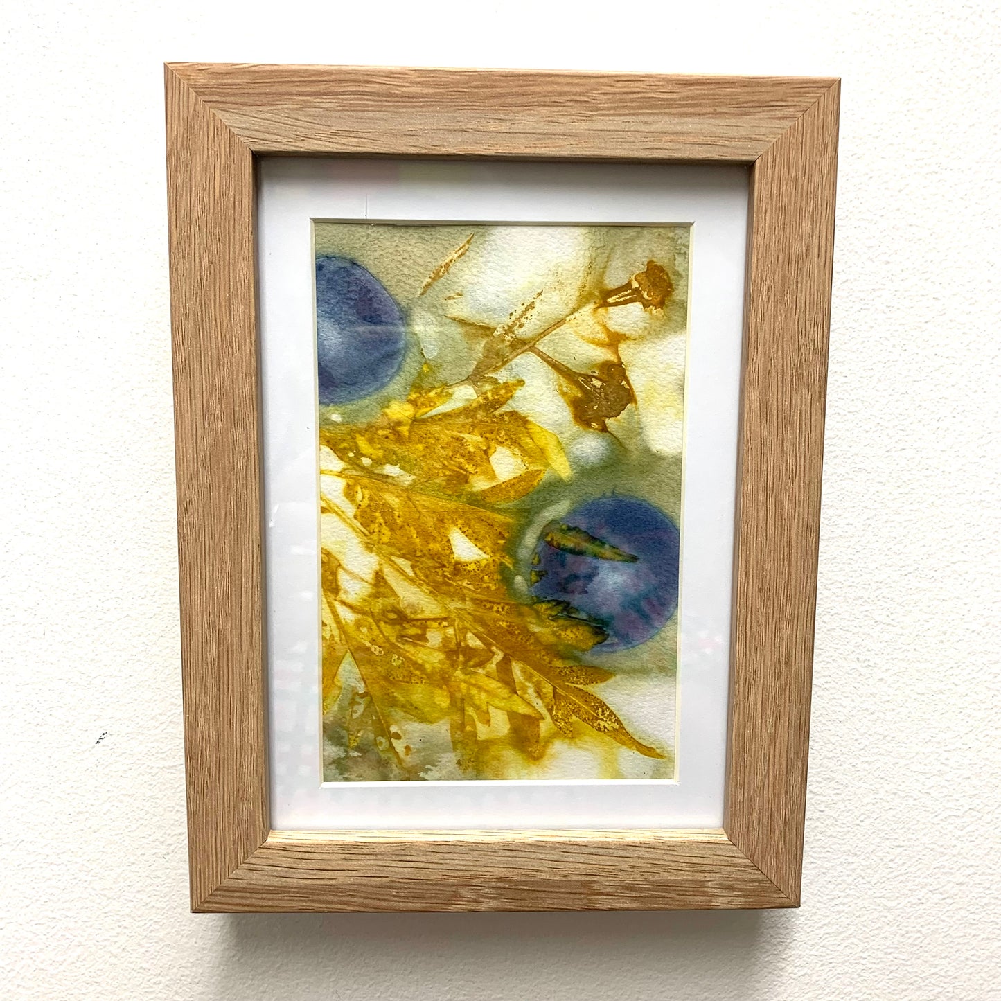 WILD BRASS- "Blue Fruit"- BOTANICAL ECO DYED PAPER FRAMED ARTWORK