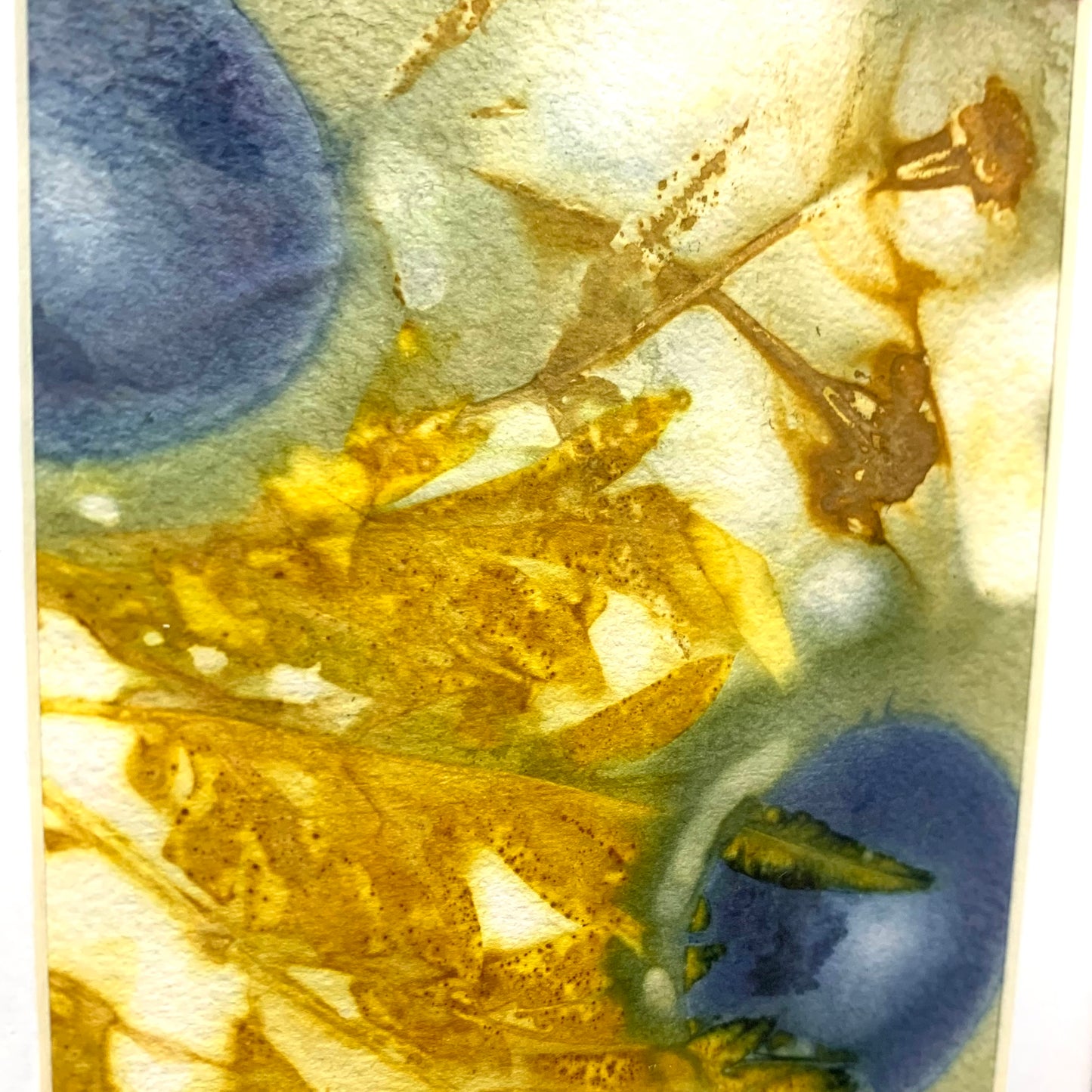 WILD BRASS- "Blue Fruit"- BOTANICAL ECO DYED PAPER FRAMED ARTWORK