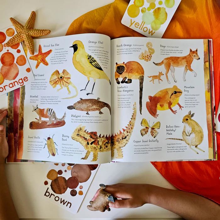BOOKS & CO - Australia’s Baby Animals By Jess Racklyeft