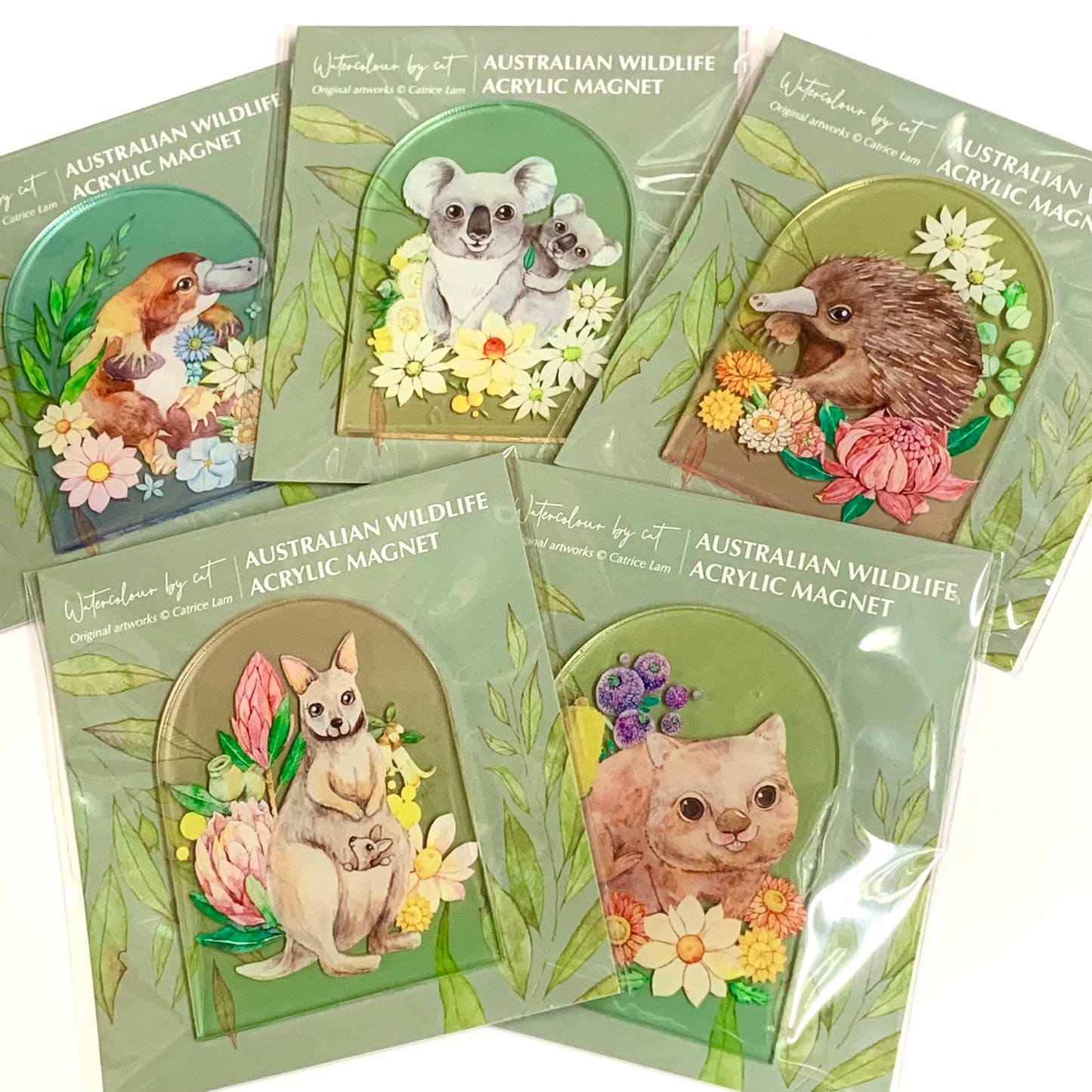 WATERCOLOURS BY CAT- Echidna- Australian Animal Art Magnet