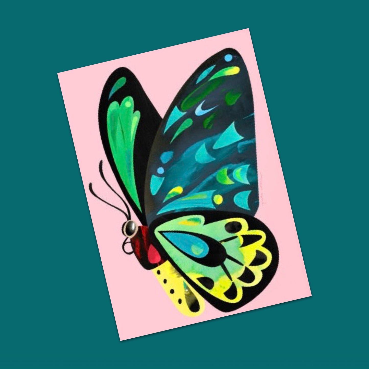 PETE CROMER - CAIRNS BIRDWING BUTTERFLY A4 FINE ART PRINT
