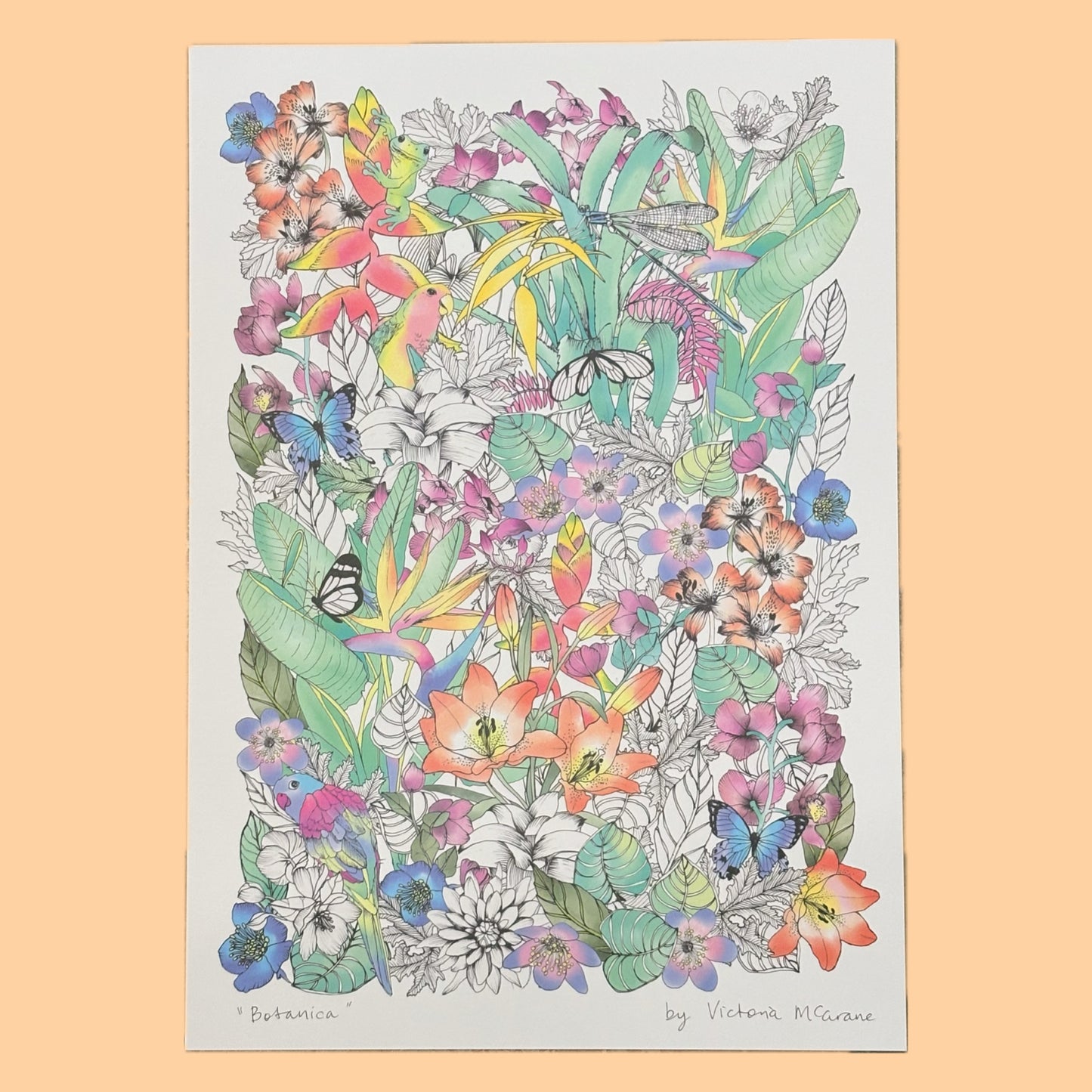 THE SCENIC ROUTE - "BOTANICA"- A3 ART PRINT